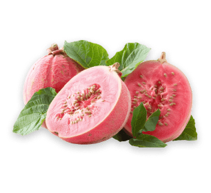 Chayote